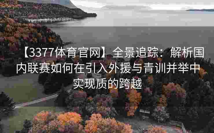 【3377体育官网】全景追踪：解析国内联赛如何在引入外援与青训并举中实现质的跨越