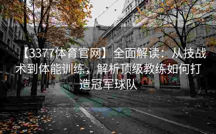 【3377体育官网】全面解读：从技战术到体能训练，解析顶级教练如何打造冠军球队